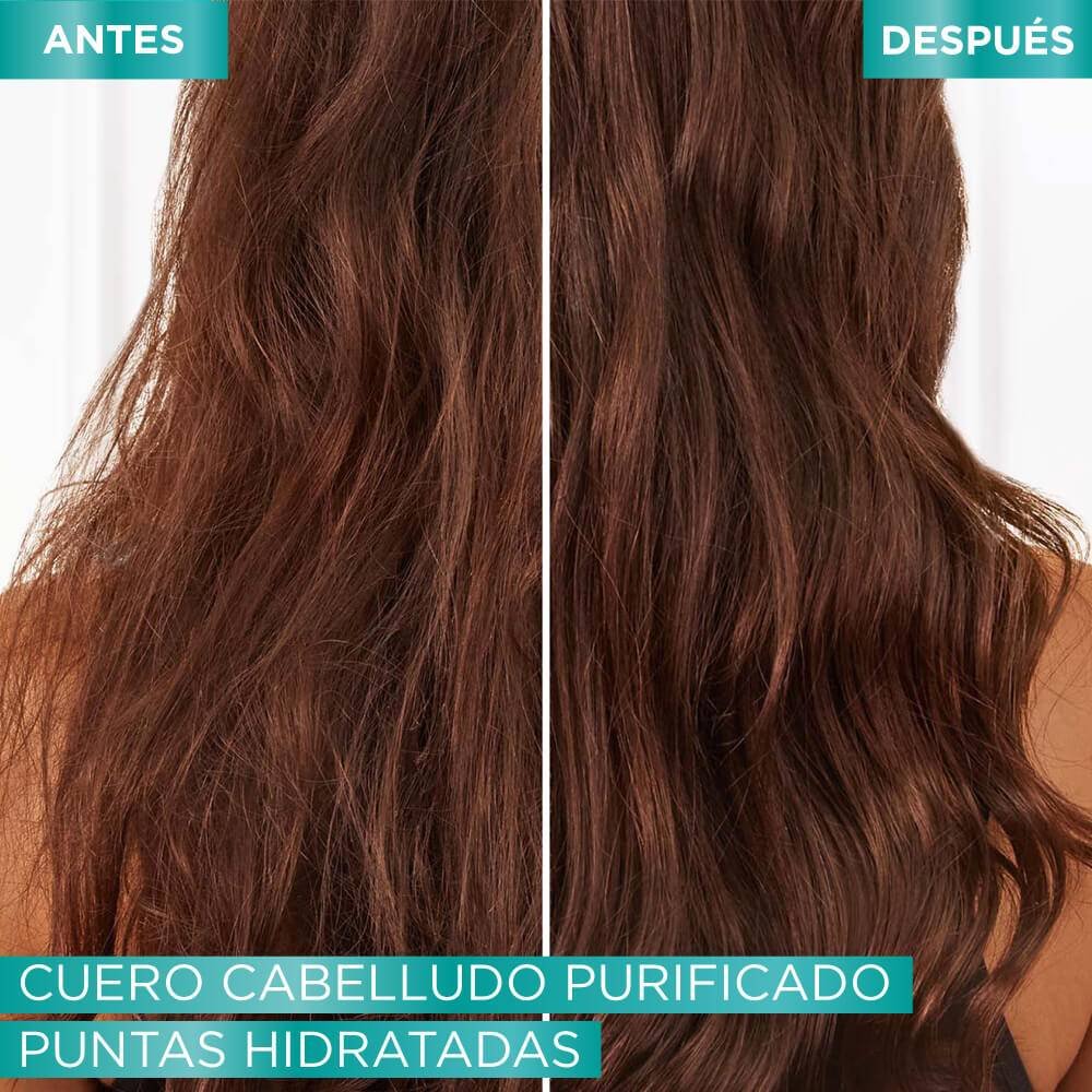 Nuevo Carrusel 7 New